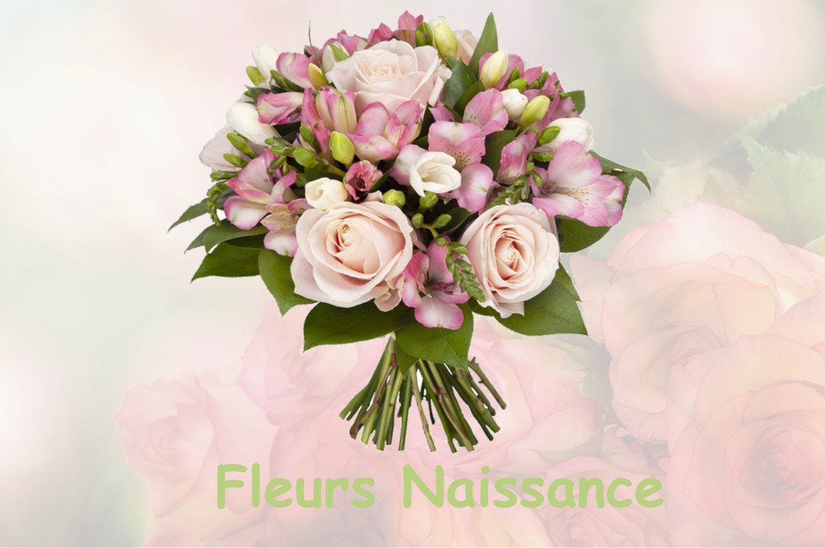 fleurs naissance MANHEULLES