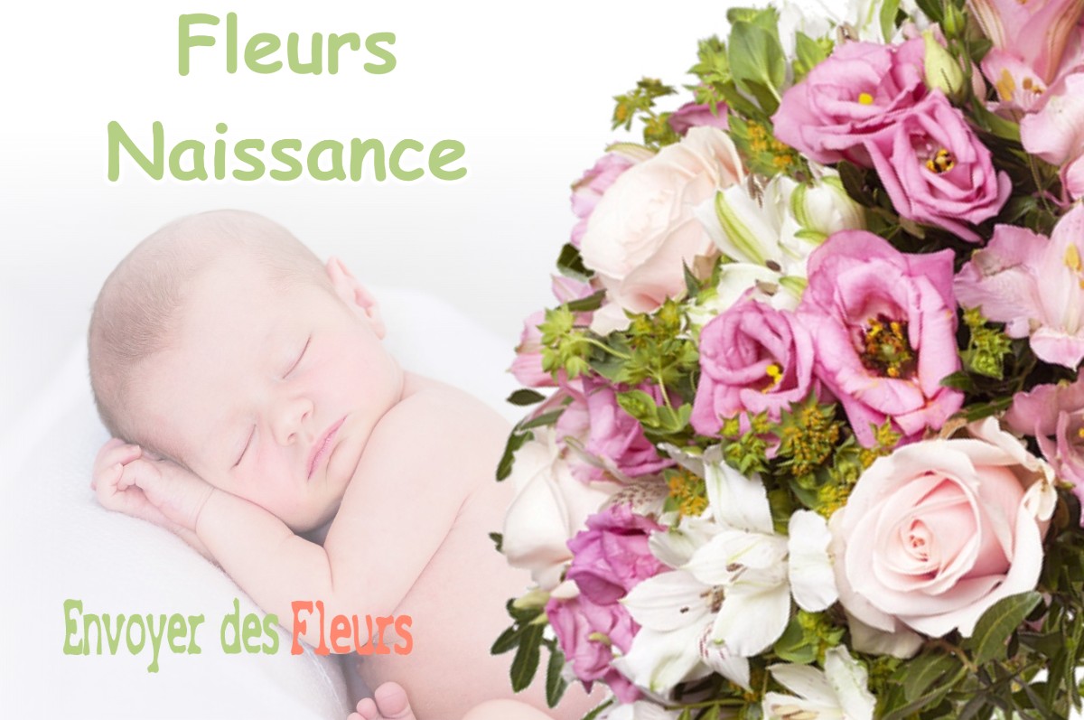 lIVRAISON FLEURS NAISSANCE à MANHEULLES